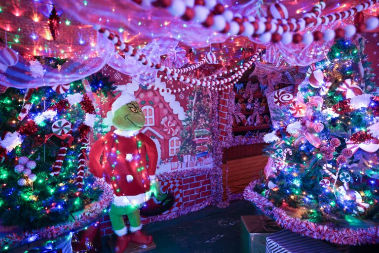 Image for Book Santa's Enchanted Elf Journey Today