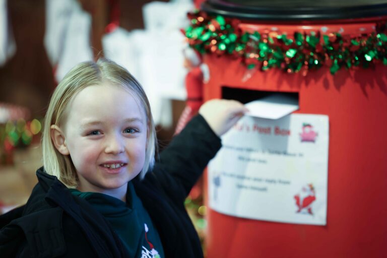 Image for Book Santa's Enchanted Elf Journey Today