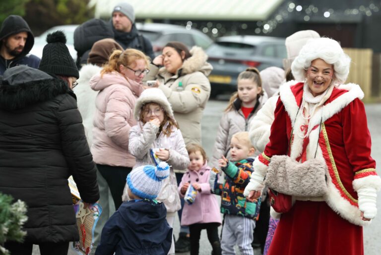 Image for Book Santa's Enchanted Elf Journey Today