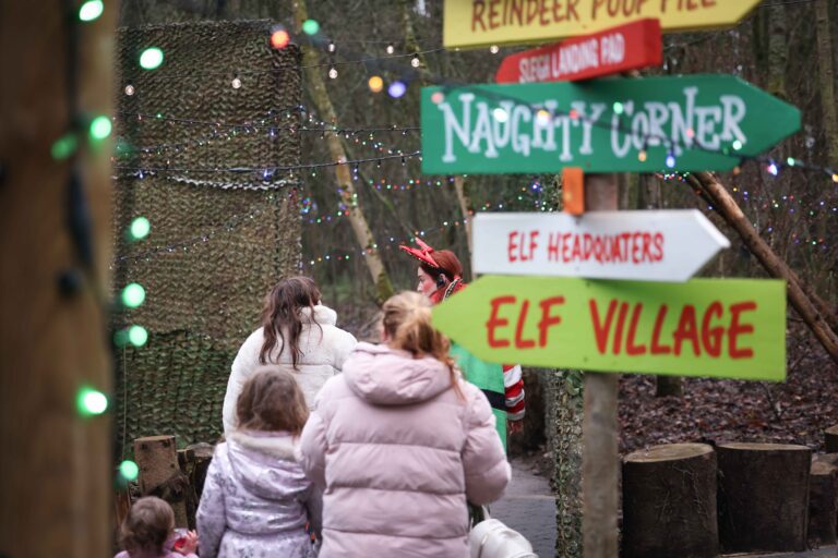 Image for Book Santa's Enchanted Elf Journey Today