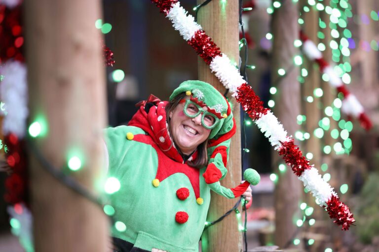 Image for Book Santa's Enchanted Elf Journey Today