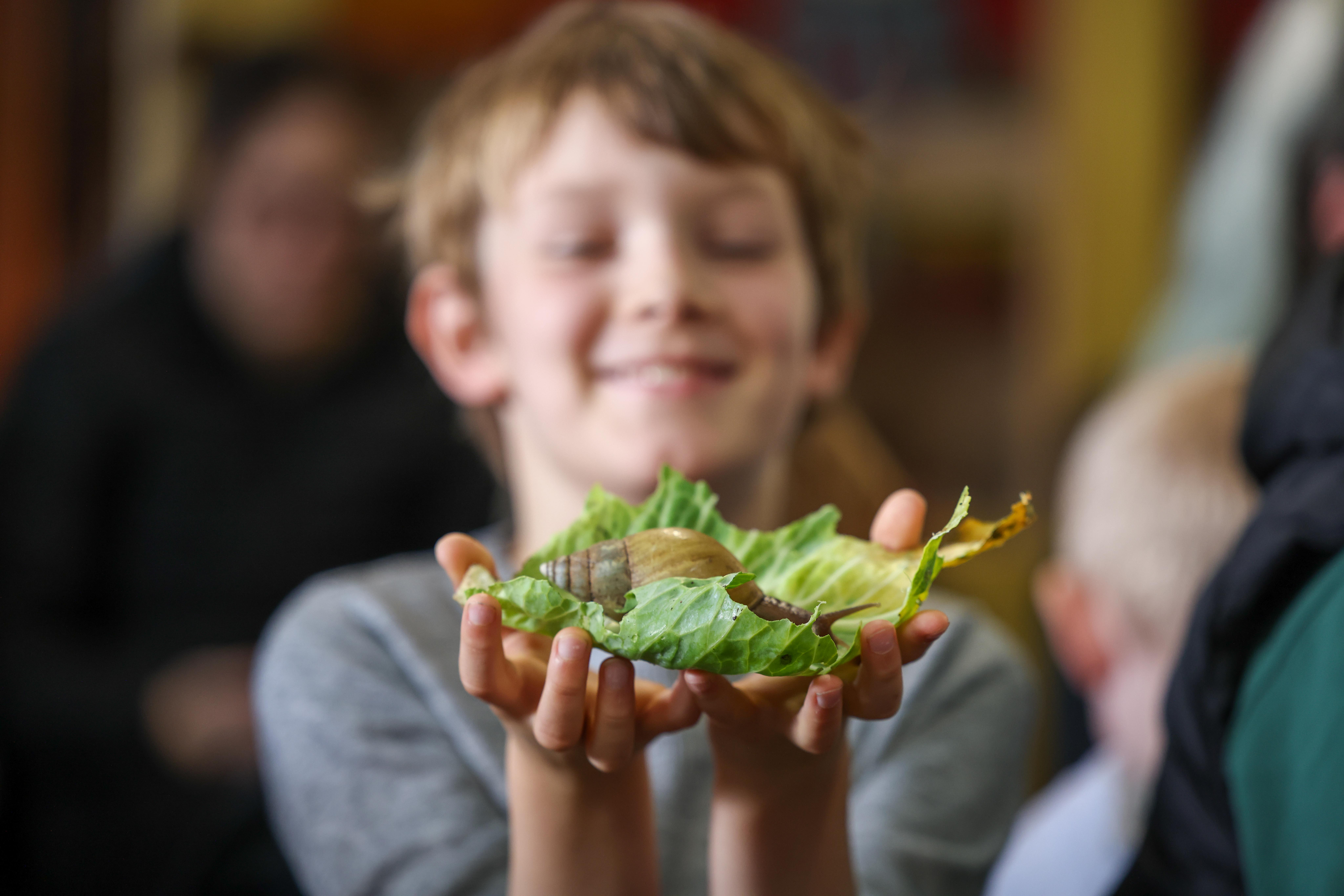 Mini Keeper Party at Whitehouse Farm | Become a Keeper