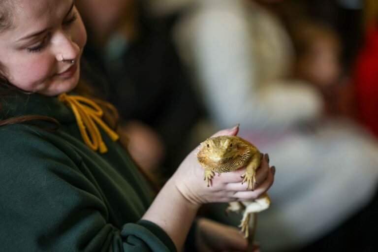Image for Book Your Reptile & Mini Beast Party Today