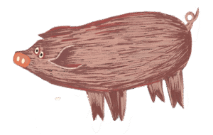 Animal Illustration