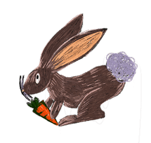 Animal Illustration