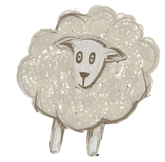 Animal Illustration