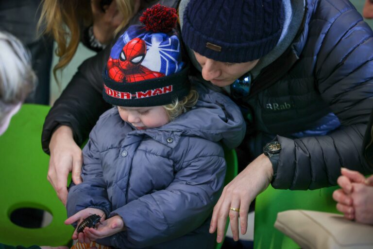 Image for Book Your Reptile & Mini Beast Party Today