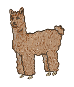 Animal Illustration