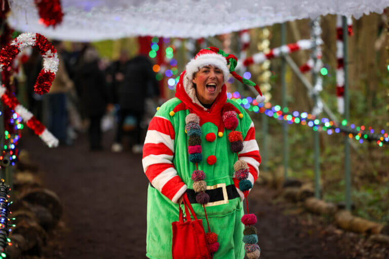 Image for Book Santa's Enchanted Elf Journey Today