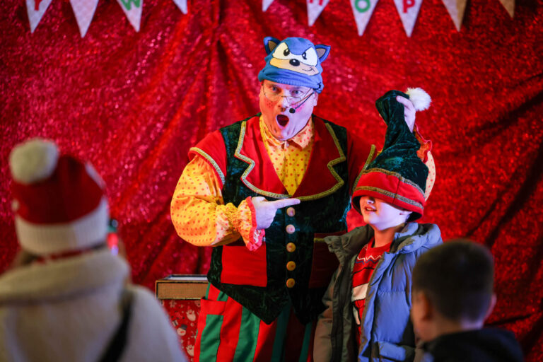 Image for Book Santa's Enchanted Elf Journey Today