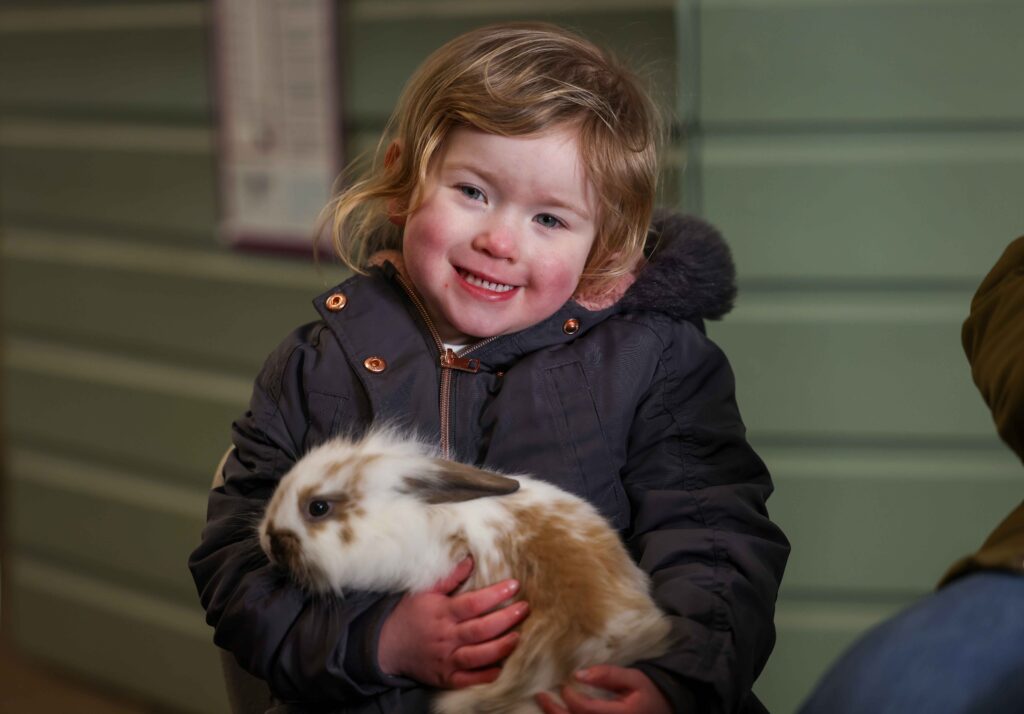 Image for Animaltastic Party