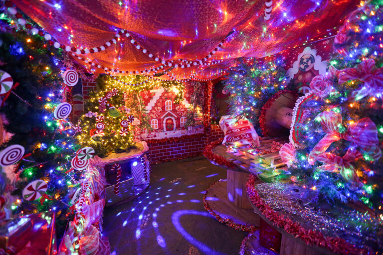 Image for Book Santa's Enchanted Elf Journey Today
