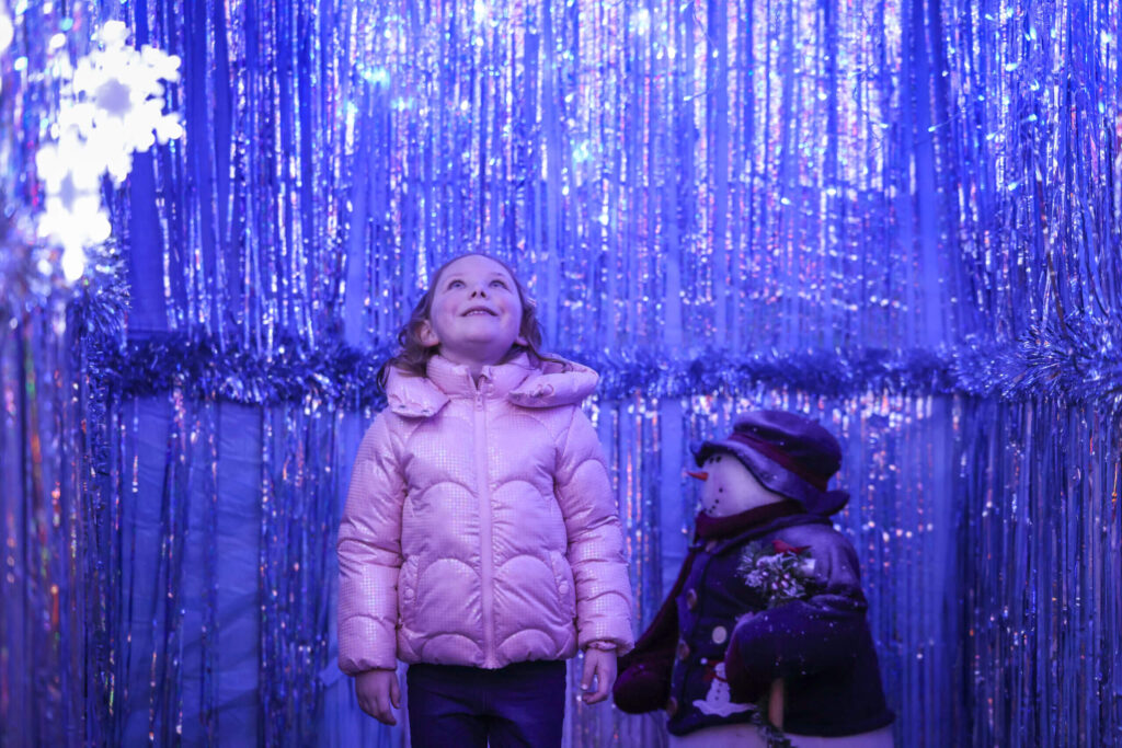 Image for Santa’s Enchanted Elf Journey 2025