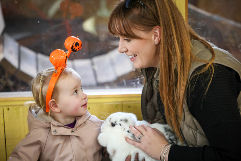 Image for Book Your Pony Party Today