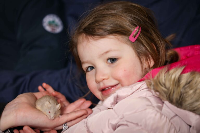 Image for Book Your Animaltastic Party Today