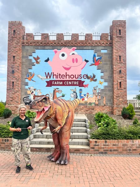 Image for Dinosaur Party