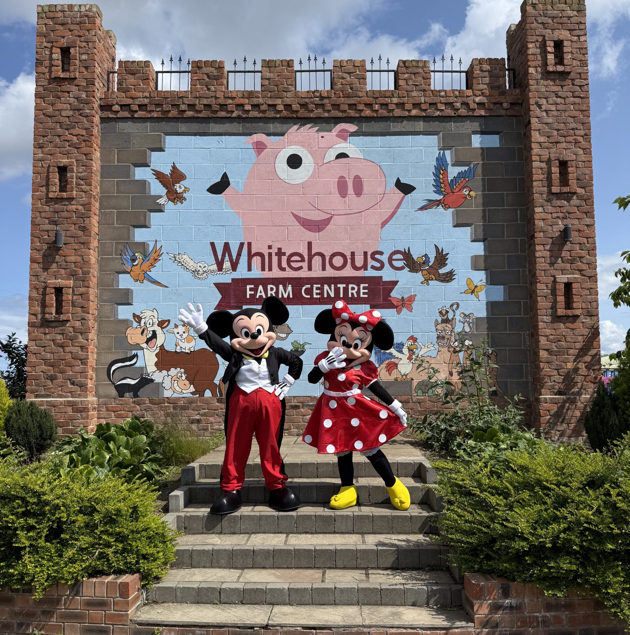 Summer Holiday Fun - Meet the Mousey Duo