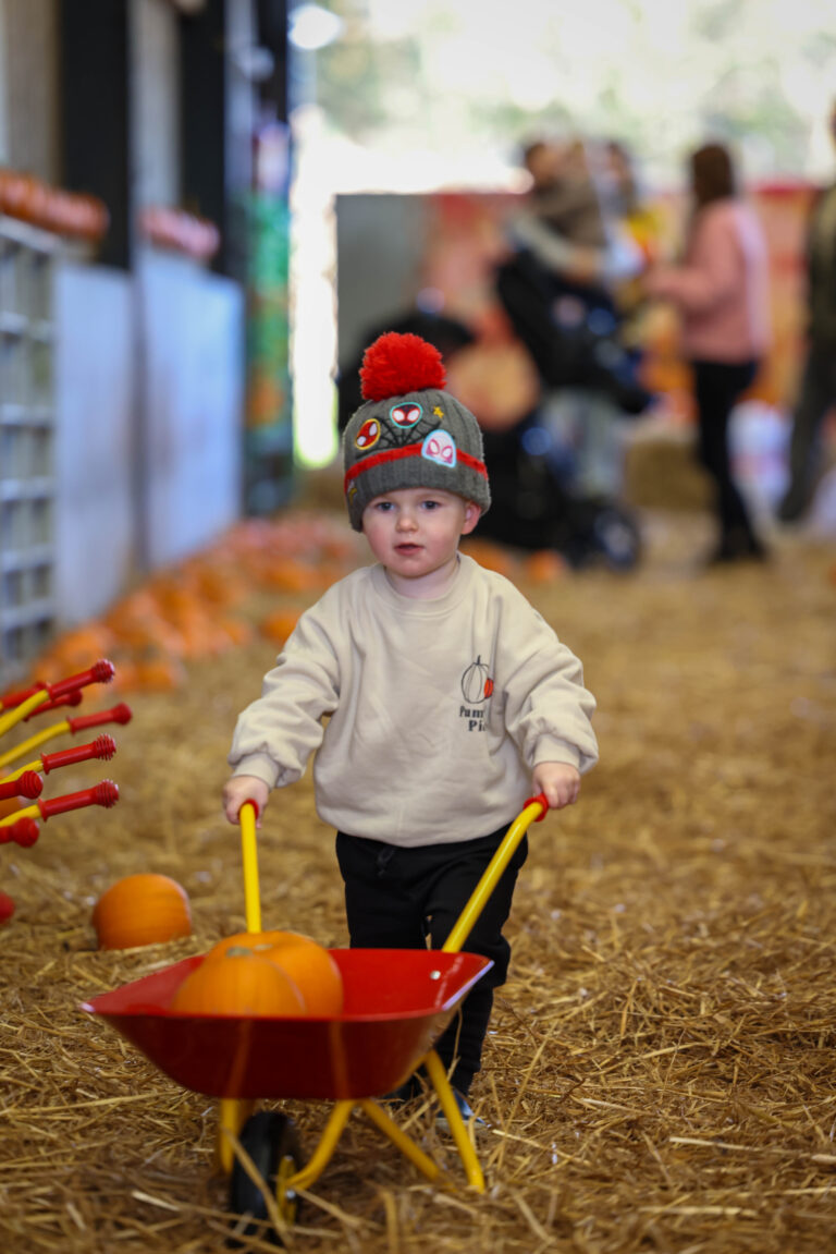 Image for Book Tots Pumpkin Party Today!