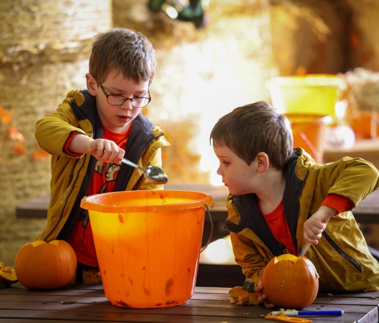 Image for Book Tots Pumpkin Party Today!