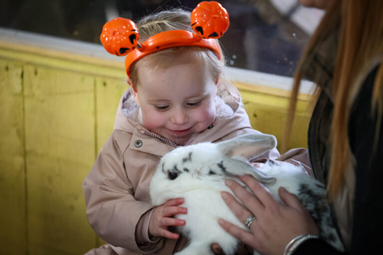 Image for Book Tots Pumpkin Party Today!