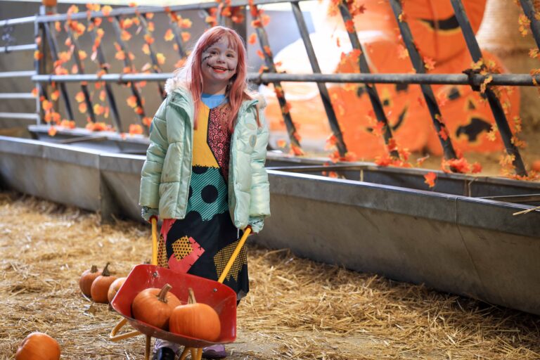 Image for Book Halloween Spooktacular 2026 Today