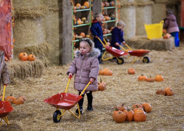 Image for Book Halloween Spooktacular 2026 Today