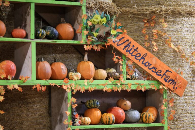 Image for Book Halloween Spooktacular 2026 Today