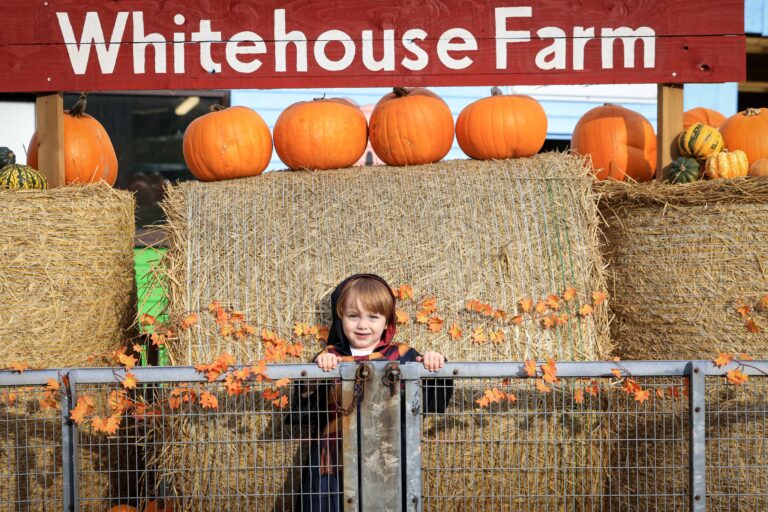 Image for Book Halloween Spooktacular 2026 Today